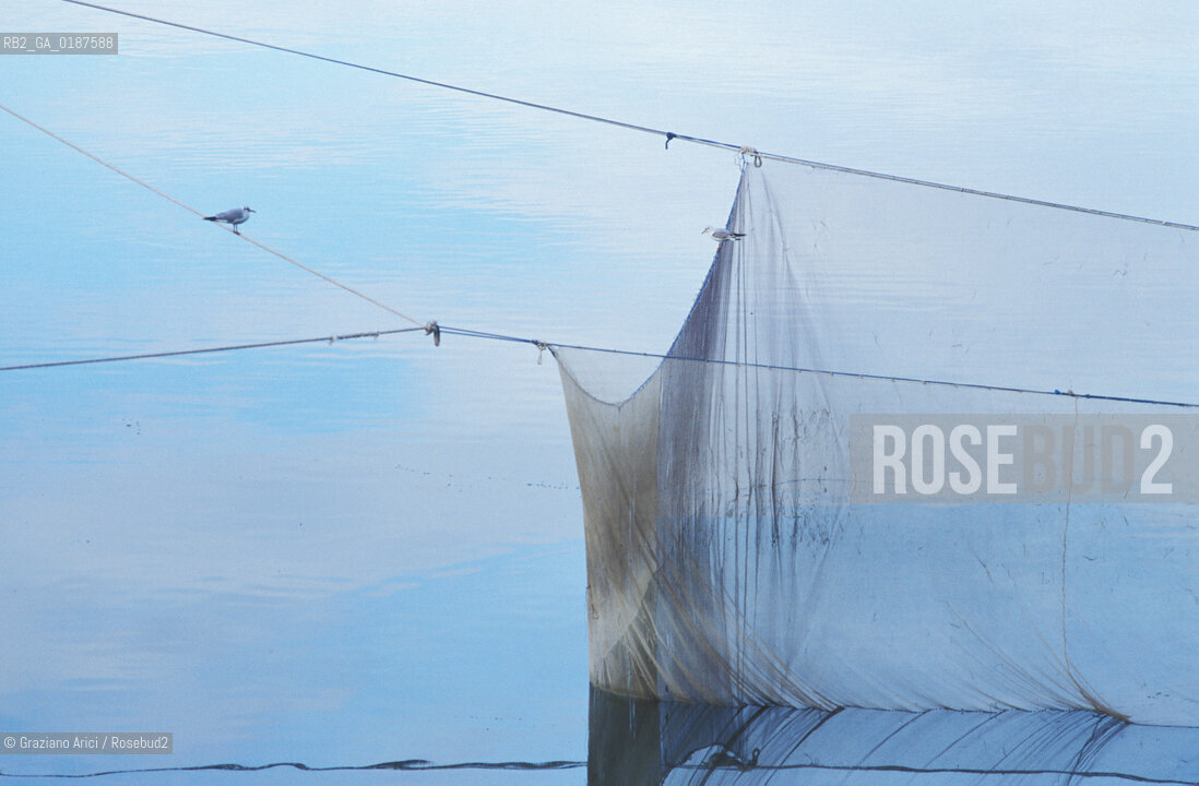 ( ALBANIA  ) SCUTARI : IL LAGO  © 2002 Graziano Arici/Rosebud2 / GEO RETE