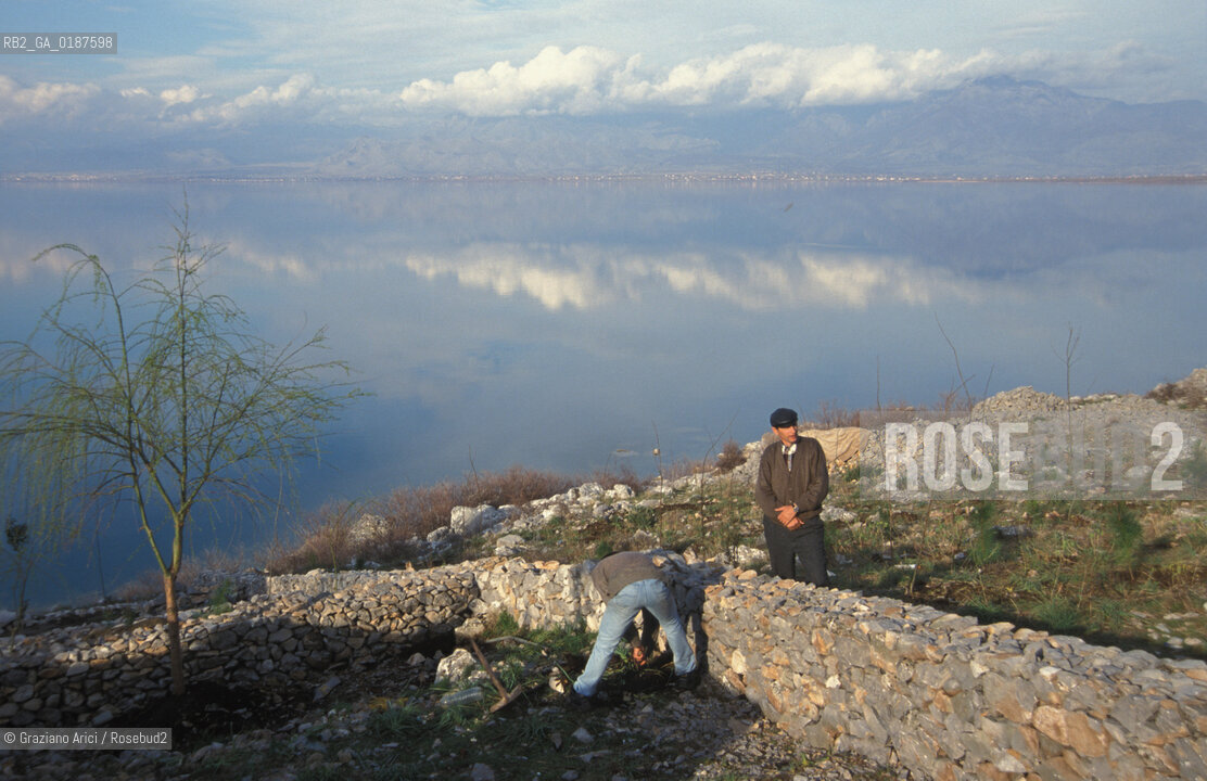( ALBANIA  ) SCUTARI : IL LAGO  © 2002 Graziano Arici/Rosebud2 / GEO
