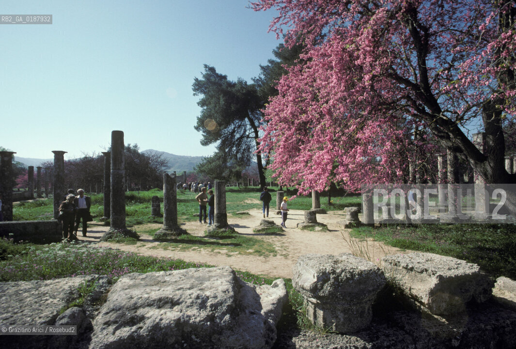 ( GRECIA  ) OLIMPIA : IL SITO ARCHEOLOGICO  - © 1990 Graziano Arici/Rosebud2 / GEO / PELOPPONESO / ELIDE