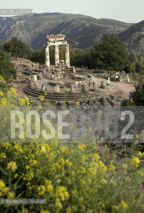 ( GRECIA  ) DELFI : IL TEMPIO ROTONDO THOLOS  © 1990 Graziano Arici/Rosebud2 / GEO / FOCIDE /