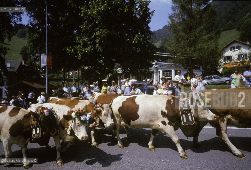 ( SVIZZERA CONFEDERAZIONE ELVETICA  ) CANTONE DI VAUD  VILLAGGIO DI LES AVANTS : FESTA DI PAESE  © 1995 Graziano Arici/Rosebud2 / GEO MUCCA