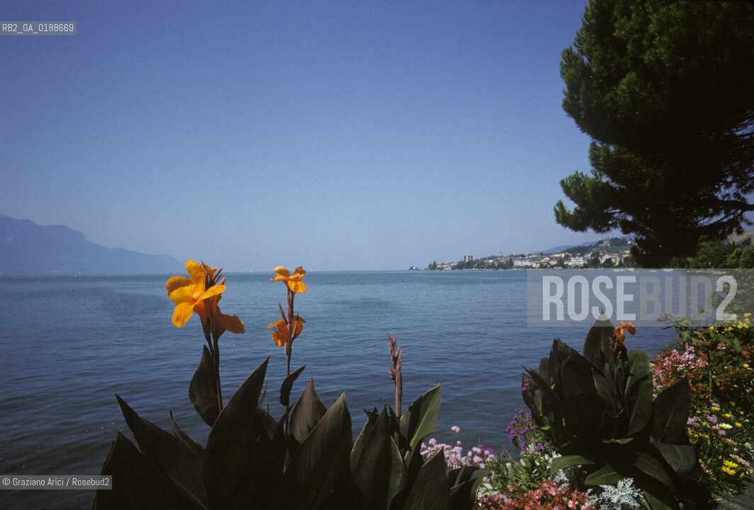 ( SVIZZERA CONFEDERAZIONE ELVETICA  ) CANTONE DI VAUD MONTREUX : IL LAGO DI GINEVRA   © 1995 Graziano Arici/Rosebud2 / GEO