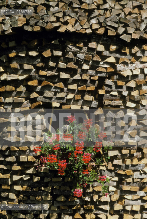 ( SVIZZERA CONFEDERAZIONE ELVETICA  ) CANTONE DI ZURIGO VALLE DELLEMMENTHAL : CATASTA DI LEGNO  © 1995 Graziano Arici/Rosebud2 / GEO FINESTRA FIORI