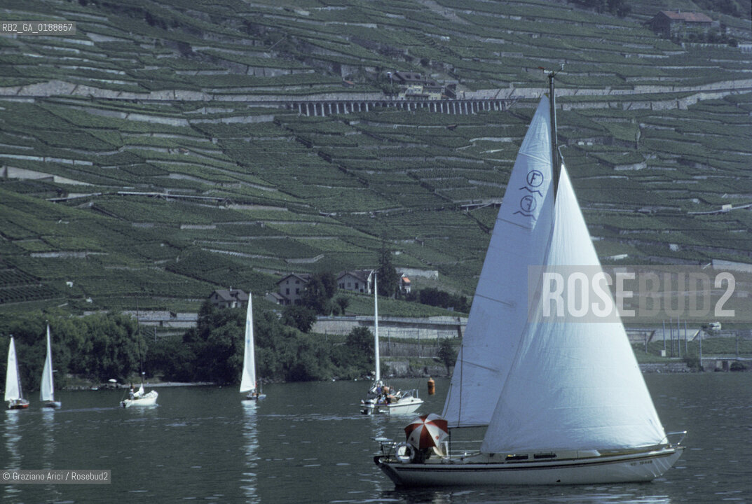 ( SVIZZERA CONFEDERAZIONE ELVETICA  )  CANTONE DI VAUD VEVEY  : VIGNETI  E LAGO DI GINEVRA © 1995 Graziano Arici/Rosebud2 / GEO / VINO BARCA A VELA