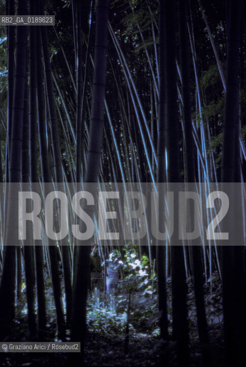 ( FRANCIA  )  LANGUEDOC-ROUSSILLON ANDUZE : BOSCO DI BAMBU  © 1999 Graziano Arici/Rosebud2 / GEO