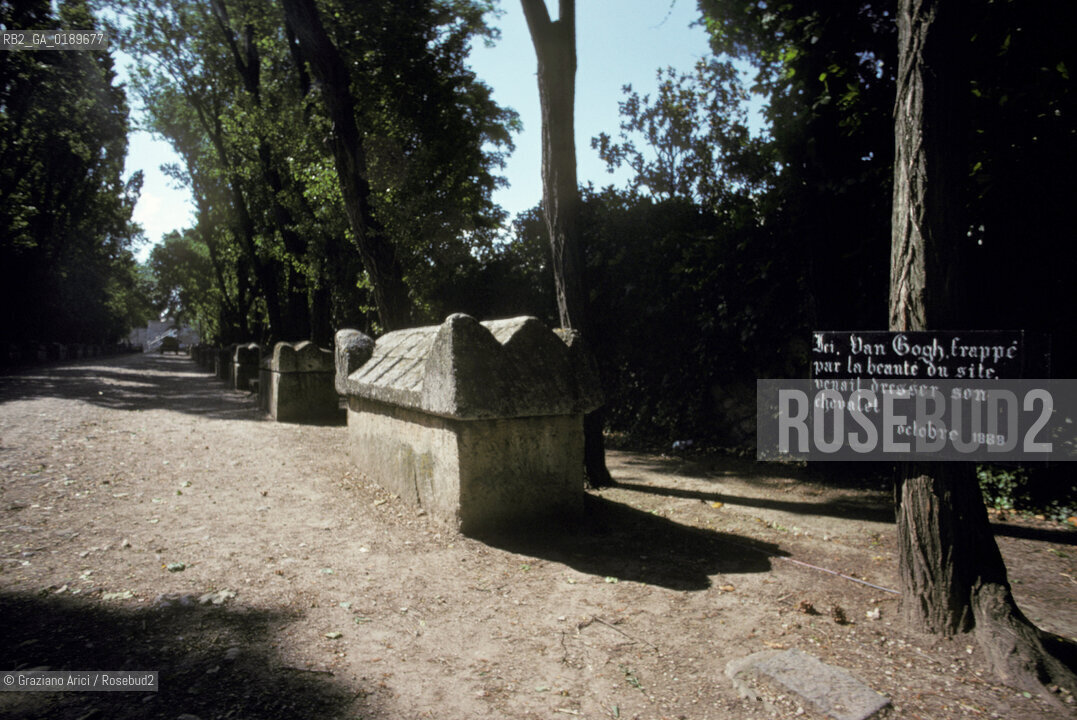( FRANCIA  )  PROVENCE-ALPES-COTE DAZUR ARLES : LA NECROPOLI DEGLI ALYSCAMPS  © 1999 Graziano Arici/Rosebud2 / GEO CIMITERO VAN GOGH ARTE PITTORE