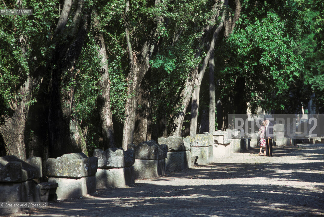 ( FRANCIA  )  PROVENCE-ALPES-COTE DAZUR ARLES : LA NECROPOLI DEGLI ALYSCAMPS  © 1999 Graziano Arici/Rosebud2 / GEO CIMITERO