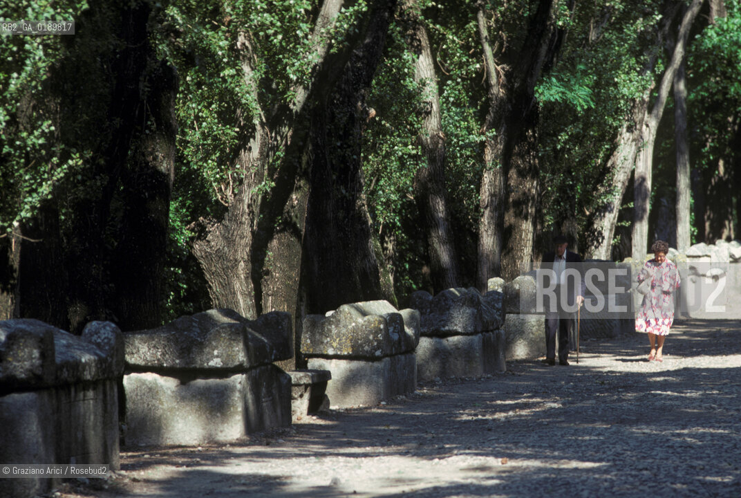 ( FRANCIA  )  PROVENCE-ALPES-COTE DAZUR ARLES : LA NECROPOLI DEGLI ALYSCAMPS  © 1999 Graziano Arici/Rosebud2 / GEO CIMITERO