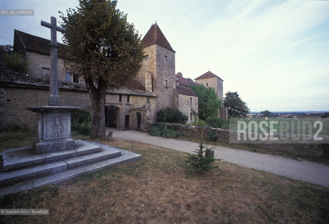 ( FRANCIA  )  BORGOGNA  CASTELLO DI GEVREY-CHAMBERTIN © 1999 Graziano Arici/Rosebud2 / GEO VINO