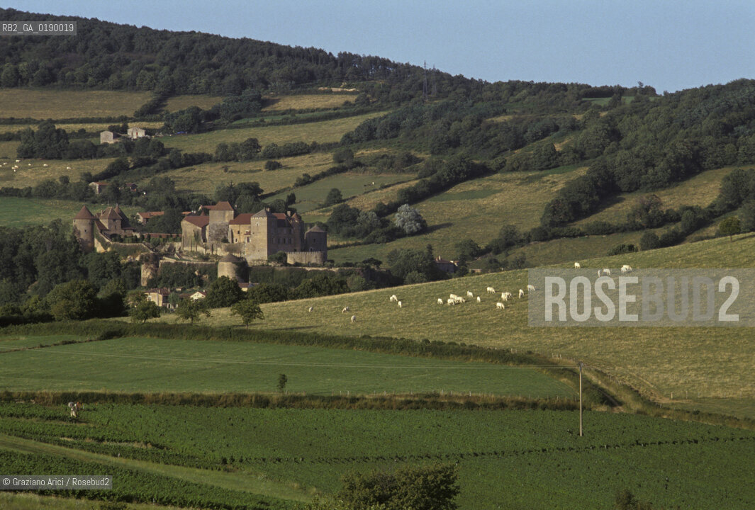 ( FRANCIA  )  BORGOGNA  PAESAGGIO CON VIGNE © 1999 Graziano Arici/Rosebud2 / GEO VINO