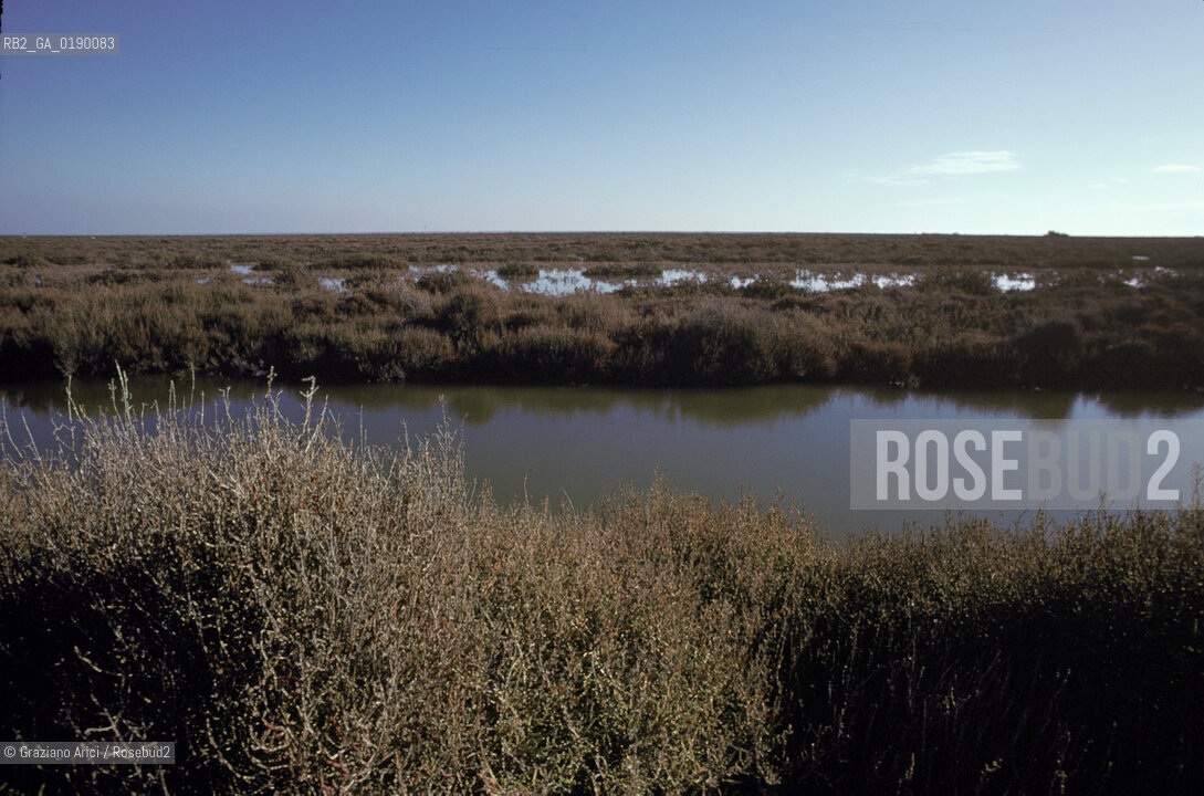 ( FRANCIA  )  PROVENCE-ALPES-COTE DAZUR PARCO NATURALE DELLA CAMARGUE : STAGNO © 1999 Graziano Arici/Rosebud2 / GEO
