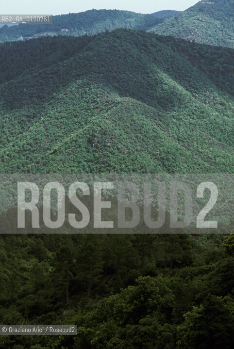 ( FRANCIA  )  LANGUEDOC-ROUSSILLON  CORNICHE DE LE CEVENNES © 1999 Graziano Arici/Rosebud2 / GEO BOSCO