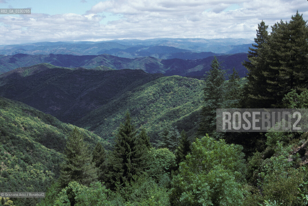 ( FRANCIA  )  LANGUEDOC-ROUSSILLON  CORNICHE DE LE CEVENNES © 1999 Graziano Arici/Rosebud2 / GEO