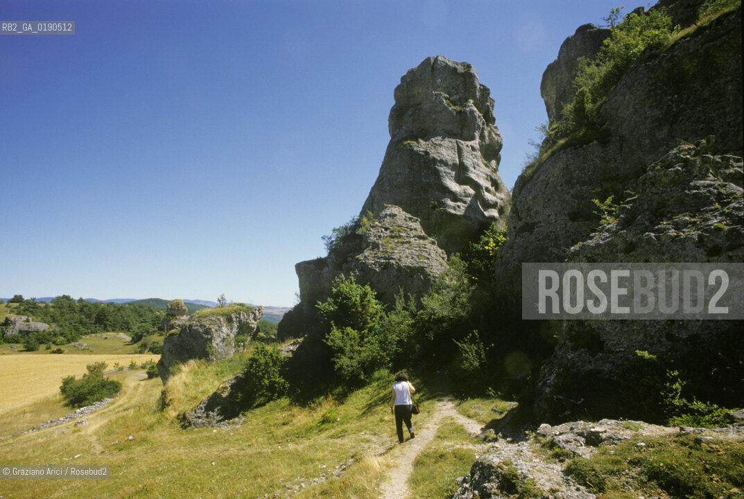 ( FRANCIA  )  LANGUEDOC-ROUSSILLON ALTIPIANO DEL LARZAC CAUSSE : PAESAGGIO © 1999 Graziano Arici/Rosebud2 / GEO ROCCE