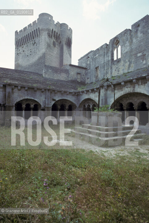 ( FRANCIA  )  PROVENCE-ALPES-COTE DAZUR ARLES : ABBAZIA DI MONTMAJOUR © 1999 Graziano Arici/Rosebud2 / GEO CHIOSTRO