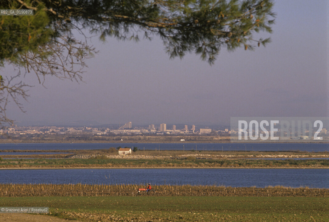 ( FRANCIA  )  LANGUEDOC-ROUSSILLON  MONTPELLIER : LA CITTA VISTA DALLE LAGUNE © 1999 Graziano Arici/Rosebud2 / GEO
