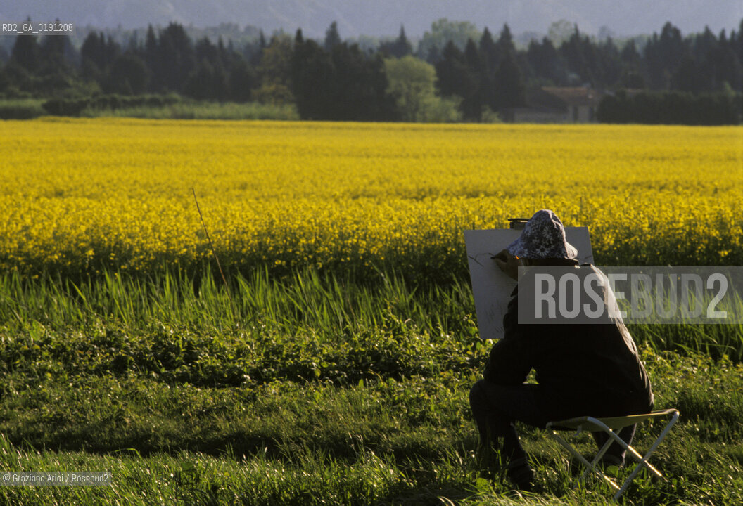 ( FRANCIA  )  PROVENCE-ALPES-COTE DAZUR  ALPILLES : CAMPO DI FIORI  © 1999 Graziano Arici/Rosebud2 / GEO PITTORE GIALLO