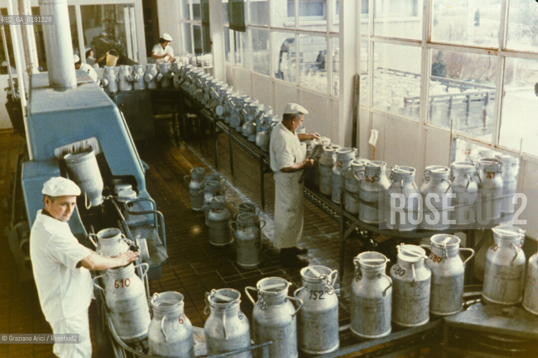 ( FRANCIA  )  MIDI-PYRENEES ROQUEFORT-SUR-SOULZON : CASEIFICIO  SOCIETE  FABBRICAZIONE DEL FORMAGGIO ROQUEFORT © 1999 Graziano Arici/Rosebud2 / GEO GASTRONOMIA