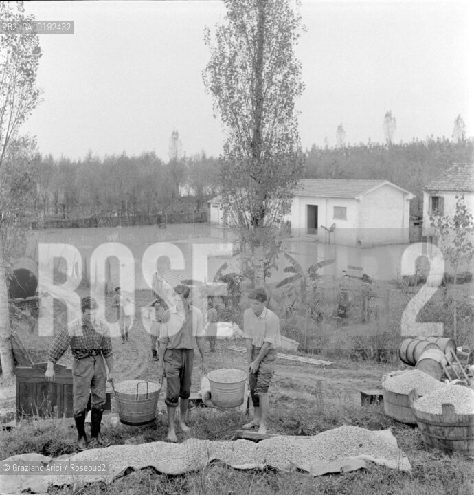 THE PO RIVER FLOOD IN POLESINE - 1960 © ARCHIVIO Graziano Arici/Rosebud2  / ALLUVIONE / CA VENDRAMIN
