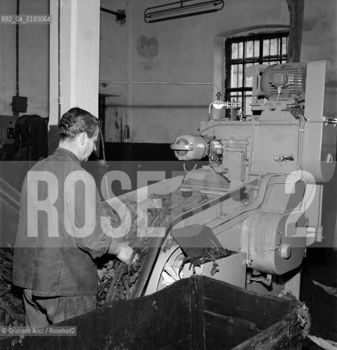 THE TOBACCO FACTORY IN VENICE - 196? © ARCHIVIO Graziano Arici/Rosebud2  / MANIFATTURA TABACCHI / FABBRICA
