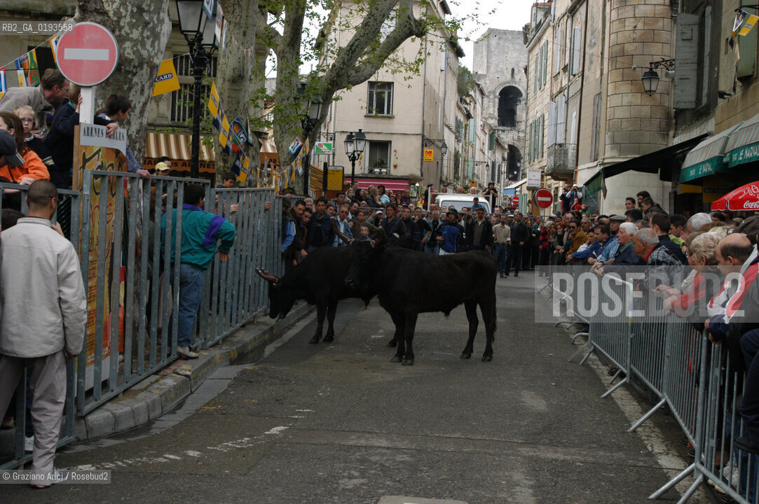 ( FRANCIA  )  PROVENCE-ALPES-COTE DAZUR ARLES : FERIA DI PASQUA SPETTACOLO FOLKLORISTICO ABRIVADO © 2003 Graziano Arici/Rosebud2 / GEO COSTUME CAVALLO GUARDIANS