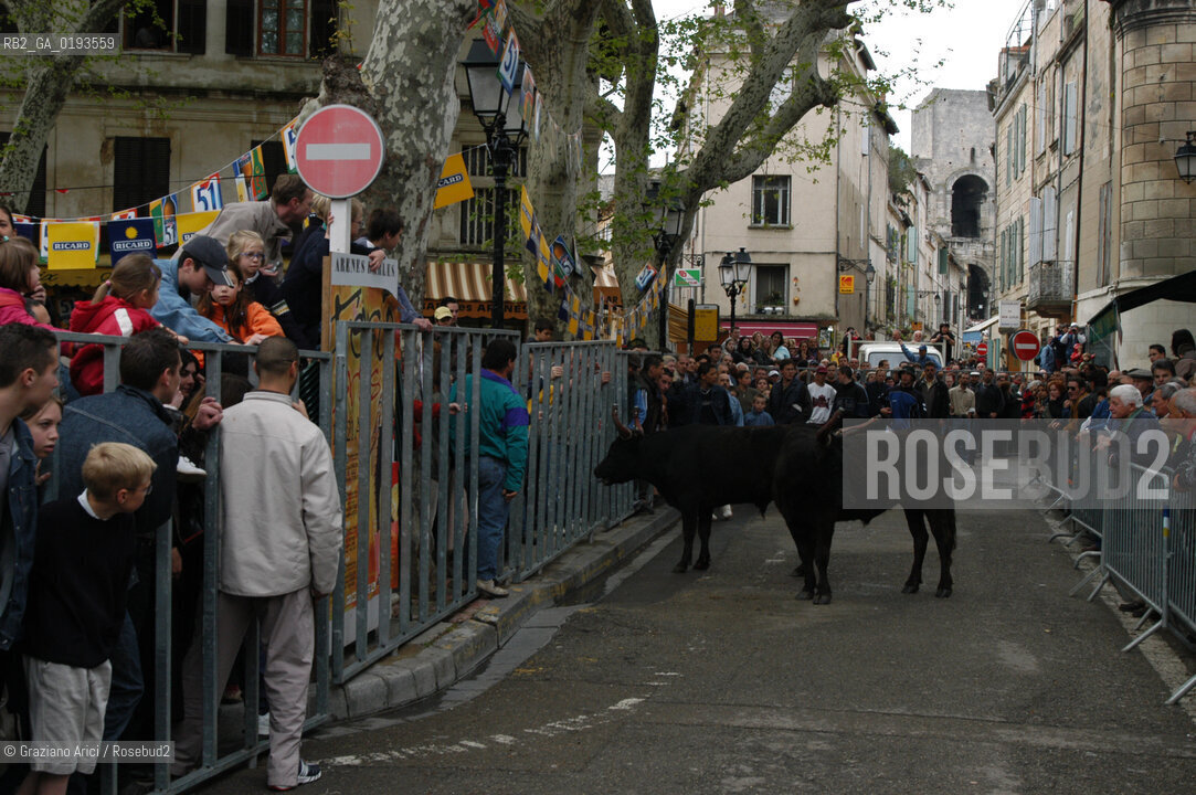 ( FRANCIA  )  PROVENCE-ALPES-COTE DAZUR ARLES : FERIA DI PASQUA SPETTACOLO FOLKLORISTICO ABRIVADO © 2003 Graziano Arici/Rosebud2 / GEO COSTUME CAVALLO GUARDIANS