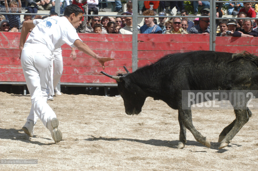 ( FRANCIA  )  PROVENCE-ALPES-COTE DAZUR ARLES : FERIA DI PASQUA SPETTACOLO FOLKLORISTICO COURSE CAMARGUES © 1999 Graziano Arici/Rosebud2 / GEO  GUARDIANS TORO