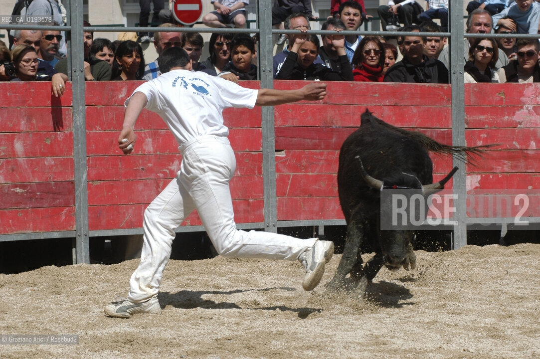 ( FRANCIA  )  PROVENCE-ALPES-COTE DAZUR ARLES : FERIA DI PASQUA SPETTACOLO FOLKLORISTICO COURSE CAMARGUES © 1999 Graziano Arici/Rosebud2 / GEO  GUARDIANS TORO