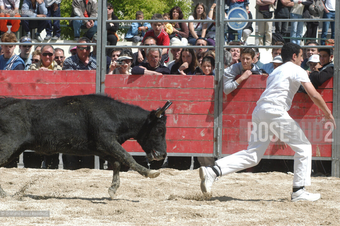 ( FRANCIA  )  PROVENCE-ALPES-COTE DAZUR ARLES : FERIA DI PASQUA SPETTACOLO FOLKLORISTICO COURSE CAMARGUES © 1999 Graziano Arici/Rosebud2 / GEO  GUARDIANS TORO