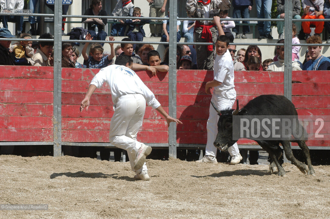 ( FRANCIA  )  PROVENCE-ALPES-COTE DAZUR ARLES : FERIA DI PASQUA SPETTACOLO FOLKLORISTICO COURSE CAMARGUES © 1999 Graziano Arici/Rosebud2 / GEO  GUARDIANS TORO