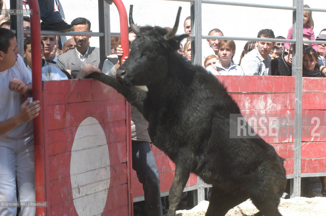 ( FRANCIA  )  PROVENCE-ALPES-COTE DAZUR ARLES : FERIA DI PASQUA SPETTACOLO FOLKLORISTICO COURSE CAMARGUES © 1999 Graziano Arici/Rosebud2 / GEO  GUARDIANS TORO
