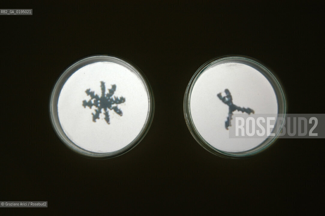 50¡ ESPOSIZIONE INTERNAZIONALE DARTE LA BIENNALE DI VENEZIA ISRAEL PAVILLION INSTALLATION OF THE ARTIST MICHAL ROVNER  © 2003 Graziano Arici/Rosebud2/GRAZIA NERI