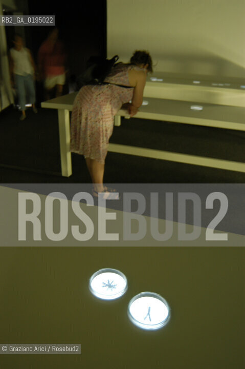 50¡ ESPOSIZIONE INTERNAZIONALE DARTE LA BIENNALE DI VENEZIA ISRAEL PAVILLION INSTALLATION OF THE ARTIST MICHAL ROVNER  © 2003 Graziano Arici/Rosebud2/GRAZIA NERI