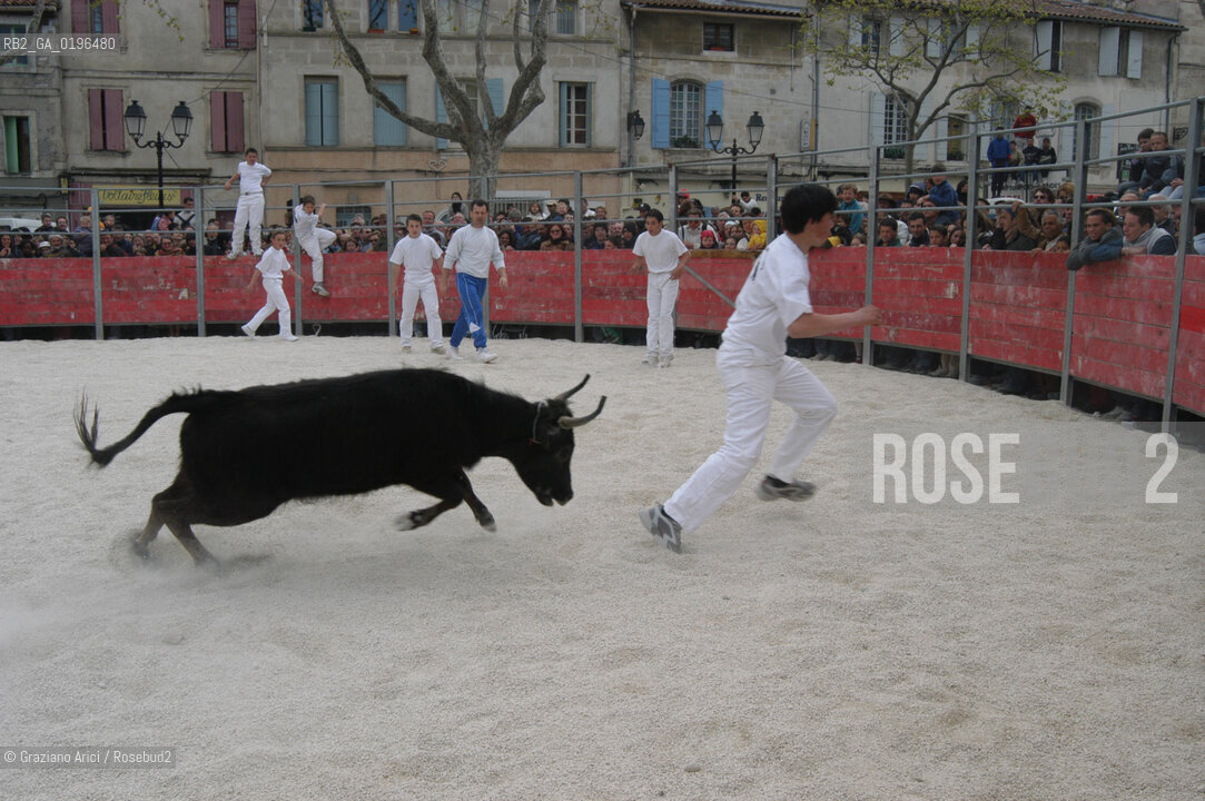 ARLES (PROVENCE, FRANCE) APRILE 2004 LA FERIA DI PASQUA  ABRIVADO ©Graziano Arici/Rosebud2 CORRIDA TORO TORERO COURSE CAMARGUESE