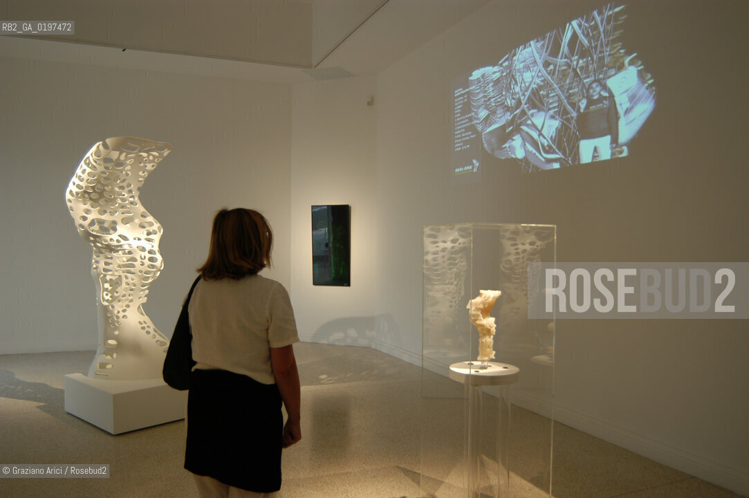 VENEZIA 09/09/04   - 9¡ MOSTRA INTERNAZIONALE DI ARCHITETTURA - BIENNALE ARCHITETTURA : PADIGLIONE USA - KOHL/MAC SUDIO : RESI_RISE SKYSCRAPER