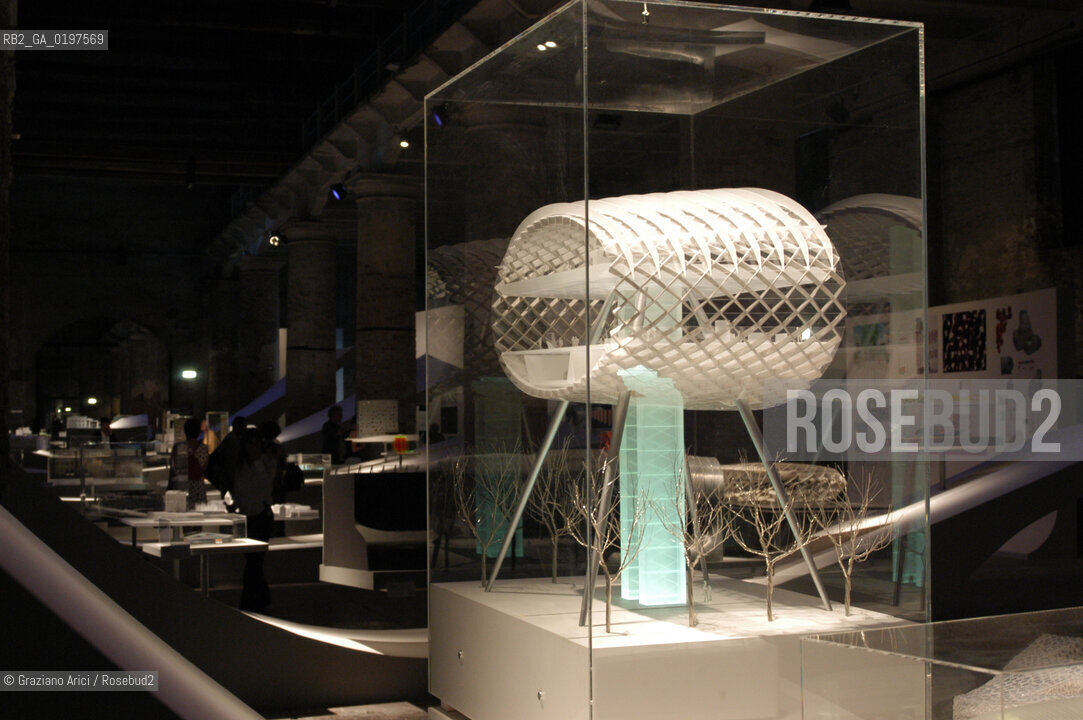 VENEZIA 09/09/04   - 9¡ MOSTRA INTERNAZIONALE DI ARCHITETTURA - BIENNALE ARCHITETTURA :WILKINSON EYRE ARCHITECTS - NEW CRISTAL PALACE