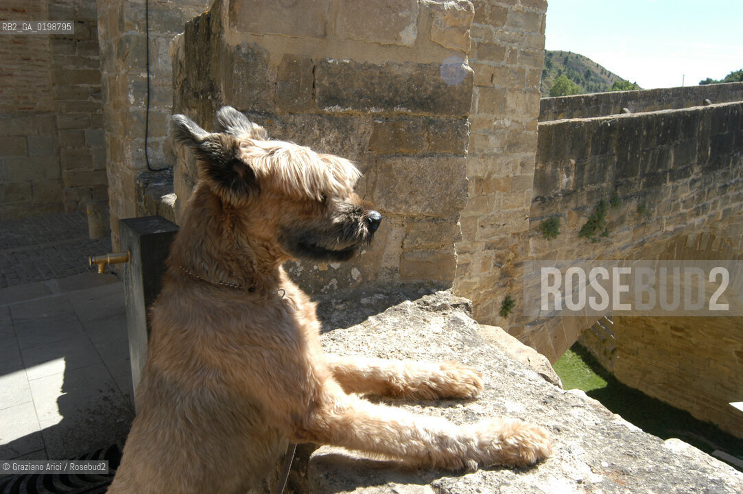 ( SPAGNA - SPAIN)    NAVARRA : PUENTE LA REINA: A  TOWN ON THE WAY TO SANTIAGO DE COMPOSTELA  - THE ROMANIC  BRIDGE © 2004 Graziano Arici/Rosebud2 / GEO PELLEGRINAGGIO CAMINO PONTE ROMANICO FIO.RE SAM