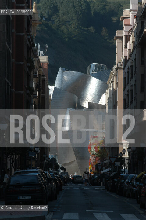 ( SPAGNA - SPAIN) BASQUE LAND VIZCAIA PAESI BASCHI : BILBAO : THE GUGGENHEIM MUSEUM DI FRANK GEHRY-  © 2004 Graziano Arici/Rosebud2 / GEO MUSEO ARCHITETTURA CONTEMPORANEA METALLO