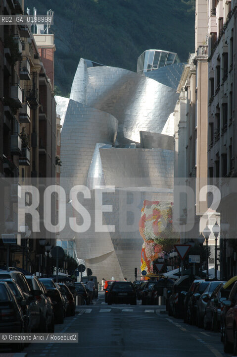 ( SPAGNA - SPAIN) BASQUE LAND VIZCAIA PAESI BASCHI : BILBAO : THE GUGGENHEIM MUSEUM DI FRANK GEHRY-  © 2004 Graziano Arici/Rosebud2 / GEO MUSEO ARCHITETTURA CONTEMPORANEA METALLO