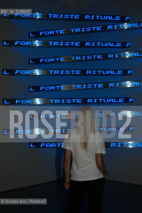 VENEZIA8/06/05 - 51 ESPOSIZIONE INTERNAZIONALE DARTE - INSTALLAZIONE DI JENNY HOLZER ©Graziano Arici/Rosebud2