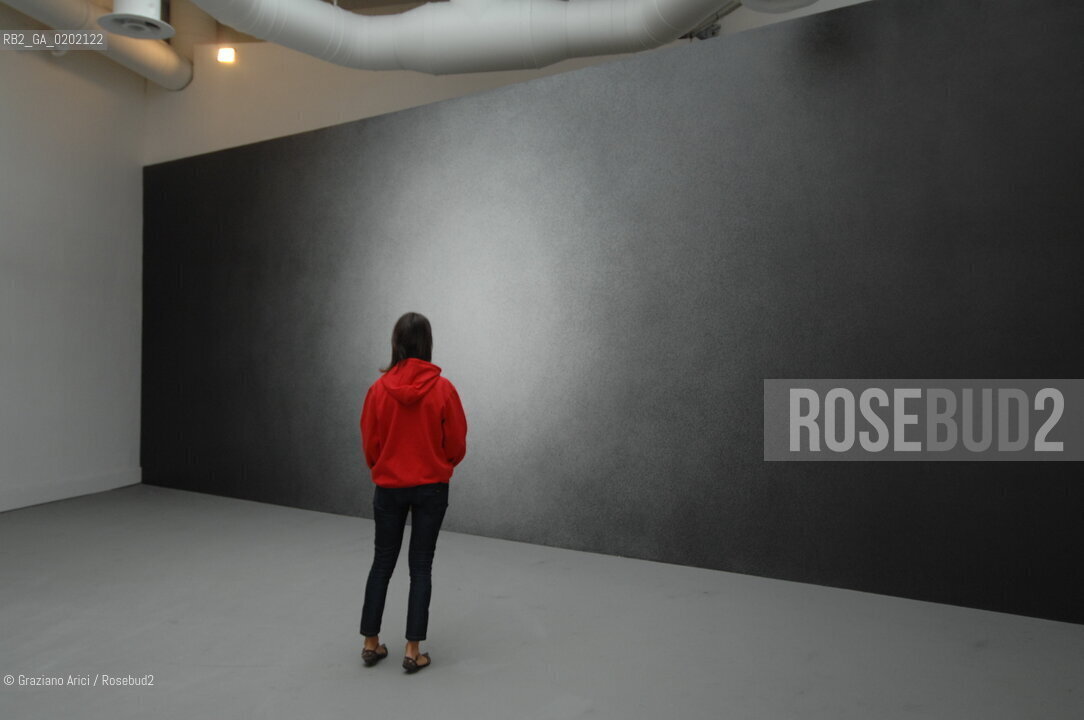 VENICE 04//6/07 - THE 52sd VENICE ART EXPOSITION : THINK WITH THE SENSES, FEEL WITH THE MIND : SOL LEWITTS ROOM  @ Graziano Arici/Rosebud2 ARTE ARTISTI BIENNALE