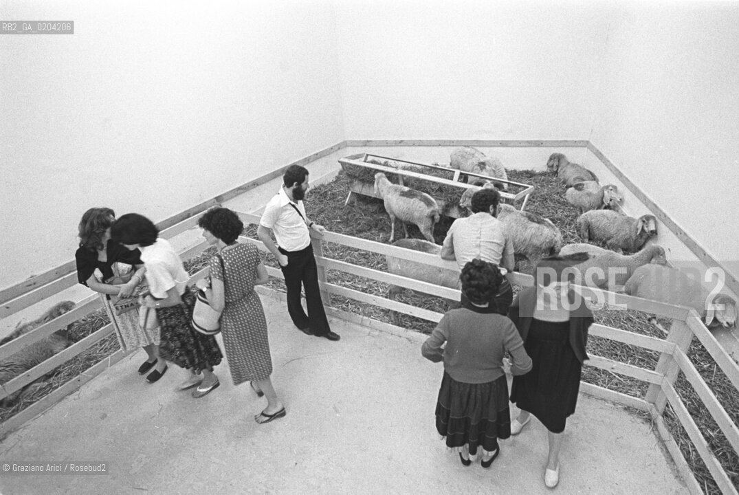 VENEZIA 1978 IL GREGGE DI MENASHE KADISHMAN © ARCHIVIO Graziano Arici/Rosebud2  BIENNALE 78 DALLA NATURA ALLARTE DALLARTE ALLA NATURA PADIGLIONE ISRAELE GIARDINI DI CASTELLO