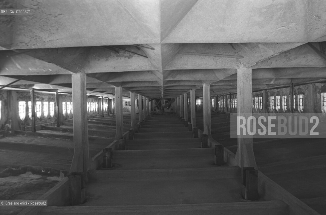 VENEZIA 1984 INTERNI MULINO STUCKY © ARCHIVIO Graziano Arici/Rosebud2   ARCHEOLOGIA INDUSTRIALE MULINO STUCKY PRE-INCENDIO GIUDECCA