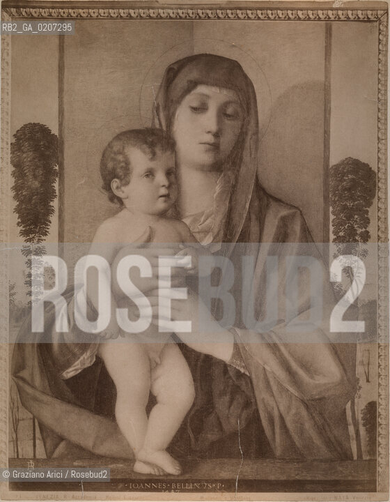-VENEZIA, CARLO NAYA, QUADRO MADONNA E BAMBINO DI GIOVANNI BELLINI, CANAL GRANDE DALLACCADEMIA, SENZA DATA. STAMPA ALLALBUMINA INCOLLATA SU CARTONE, CM 20,5X26 CONTENUTE ALLINTERNO DELLALBUM H.F.M.H FROM T.H.H.-IN REMEBRANCE OF A PLEASANT TOUR SEPTEMBER 22nd NOVEMBER15th 1888 DUBLINO. ©ARCHIVIO Graziano Arici/Rosebud2   FOTOANTICHE.-VENICE, CARLO NAYA, QUADRO MADONNA E BAMBINO DI GIOVANNI BELLINI, UNDATED. ALBUMEN PHOTOGRAPH  MOUNTED ON CARDBOARD, CM 20,5X26 ©Graziano Arici/Rosebud2 