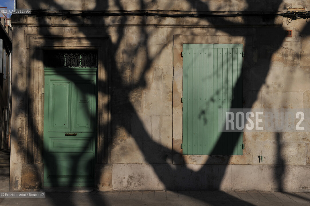 (FRANCE - FRANCIA) PROVENCE ARLES - BOULEVARD DES LICES ©Graziano Arici/Rosebud2 PROVENZA OMBRA ALBERO