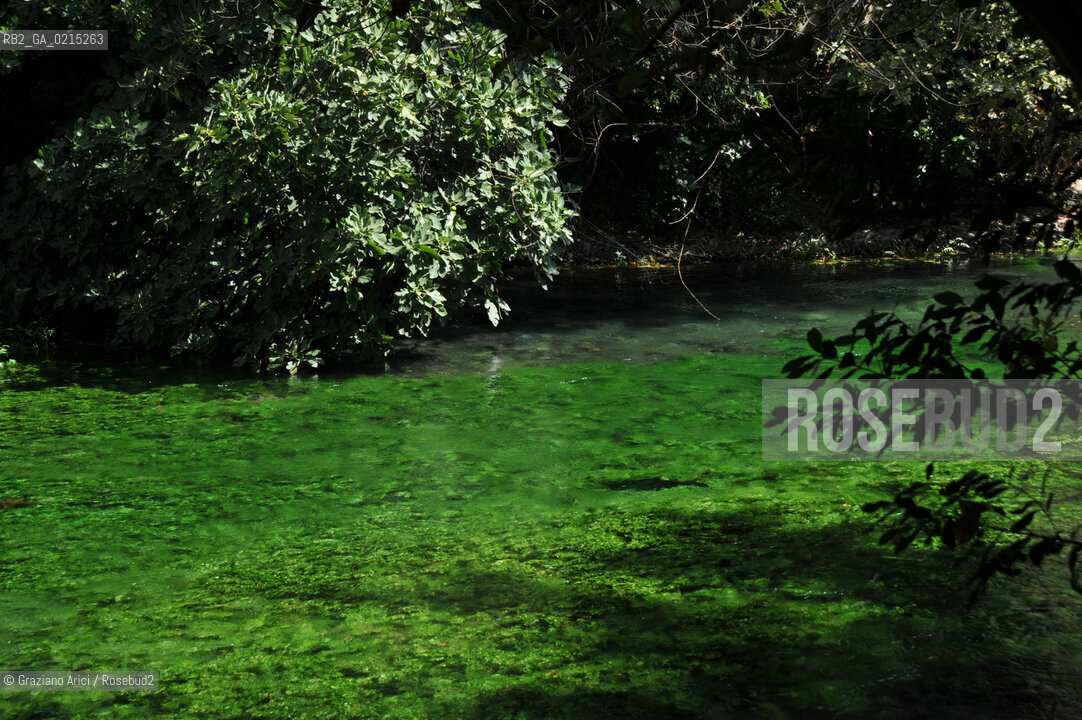 Vaucluse (France - Provence - Provenza) 8/09 - Fontaine de Vaucluse - spring Petrarca Laura ©Graziano Arici/Rosebud2 geo sorgente acqua verde