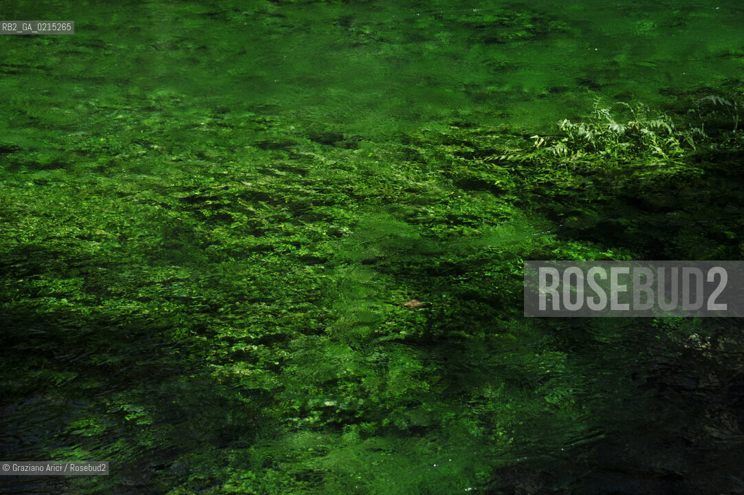 Vaucluse (France - Provence - Provenza) 8/09 - Fontaine de Vaucluse - spring Petrarca Laura ©Graziano Arici/Rosebud2 geo sorgente acqua verde