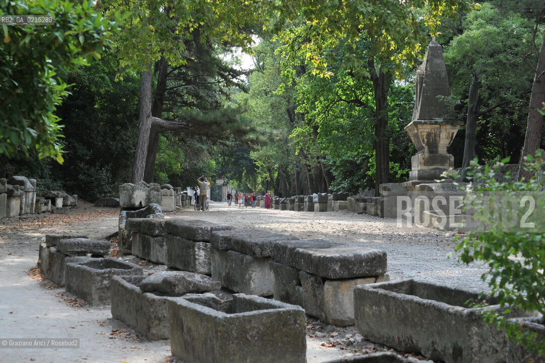 Arles (France - Provence - Provenza) 8/09 - Les Alyscamps ©Graziano Arici/Rosebud2 geo castello