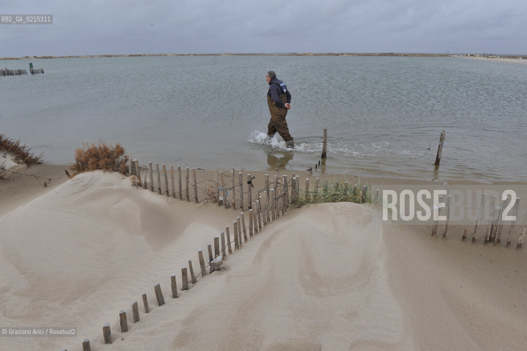 (FRANCE - FRANCIA) PROVENCE ARLES - CAMARGUE  ©Graziano Arici/Rosebud2 PROVENZA