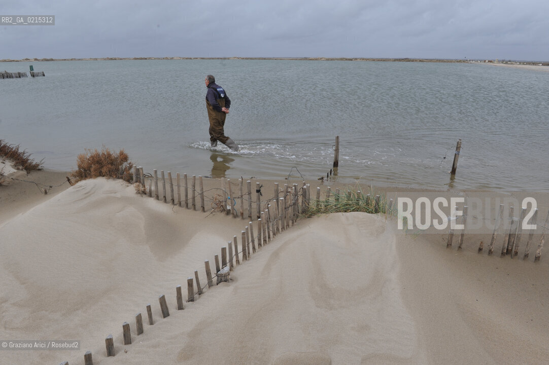 (FRANCE - FRANCIA) PROVENCE ARLES - CAMARGUE  ©Graziano Arici/Rosebud2 PROVENZA